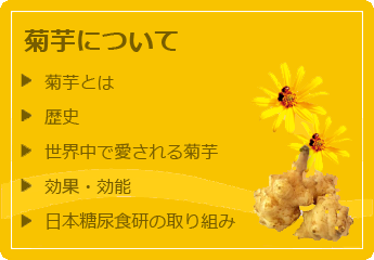 菊芋について 菊芋とは 歴史 海外事情 効能効果 日本食研の取り組み